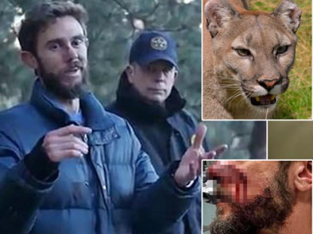 With bare hands beat the cougar to death: athletics athlete turns 