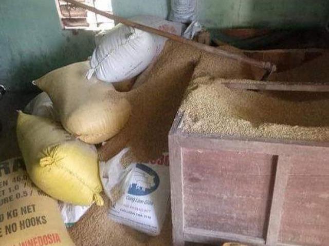 Một người dân báo mất 49 cây vàng giấu trong thùng lúa