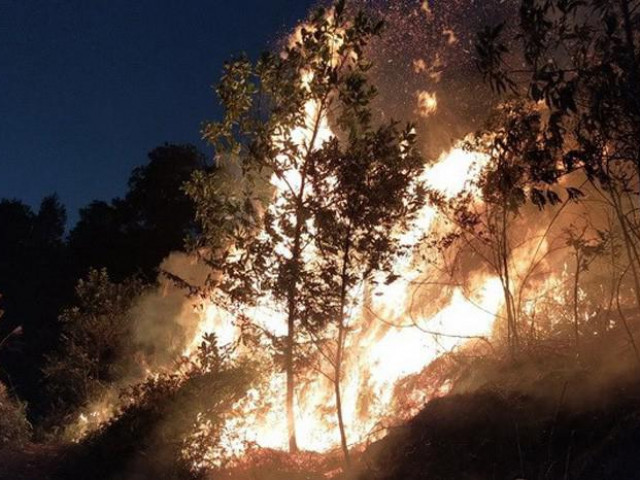 Cháy rừng gần trường bắn Sóc Sơn: Huy động hàng trăm người dập lửa lúc nửa đêm