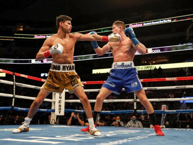 Boxer punched