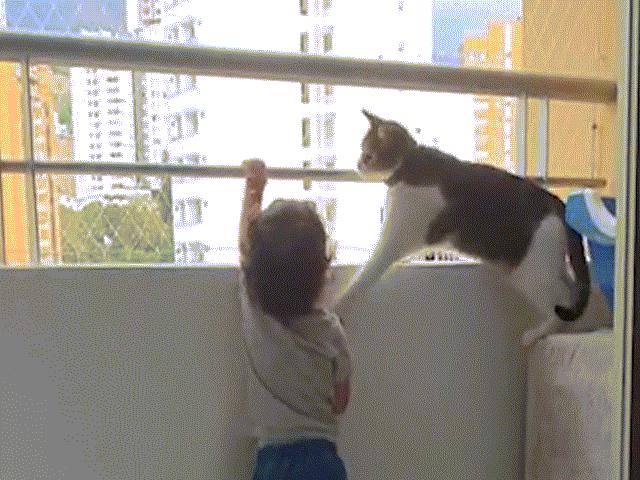 Video: Thấy đứa trẻ muốn trèo khỏi lan can tầng cao, chú mèo có hành động khó tin
