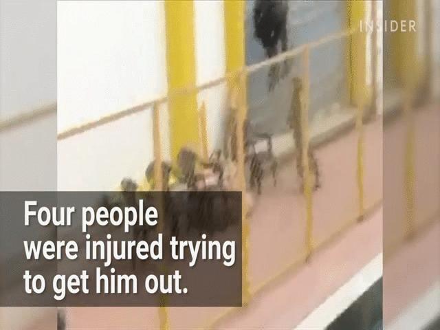 Video: Báo đốm ”đột nhập” trường học khiến 6 người bị thương