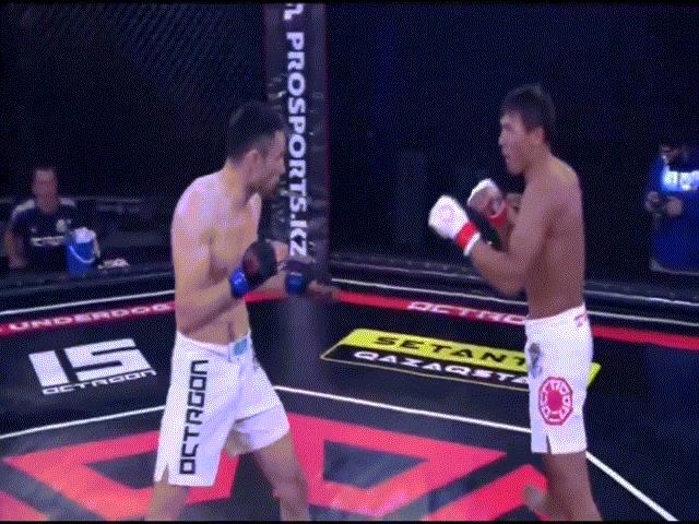 An amazing knock-out MMA: A great kick that makes the opponent lose