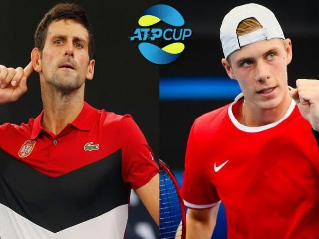 Tennis video Djokovic - Shapovalov: 
