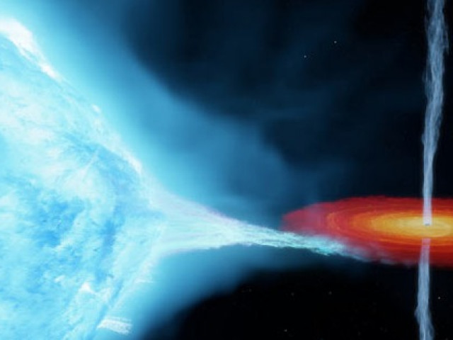 ”Quái vật Thiên Nga” bằng 60 Mặt Trời hóa lỗ đen, nuốt đồng loại