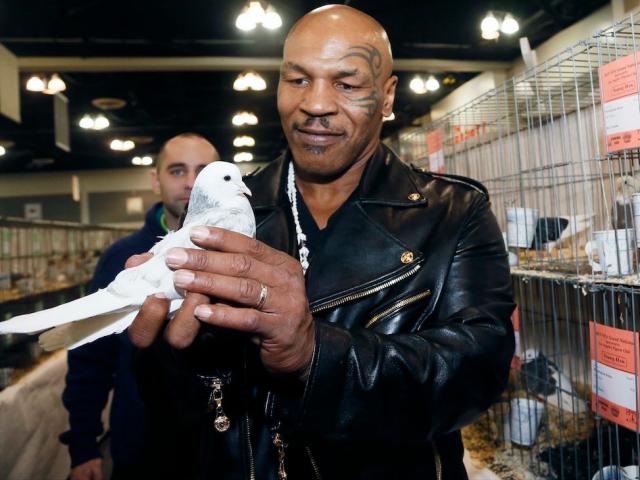 The infamous playboy Mike Tyson spent $ 2 million, punching others for a bird