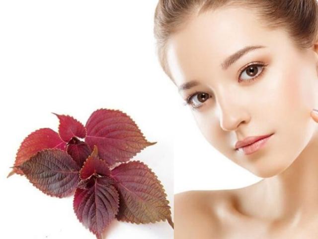 14 Mặt nạ trị mụn từ thiên nhiên an toàn hiệu quả nhanh chóng tại nhà