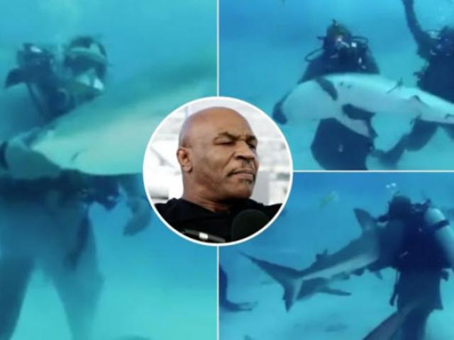 Mike Tyson went into the sea to swim with sharks: A fierce lion suddenly looked like a rabbit