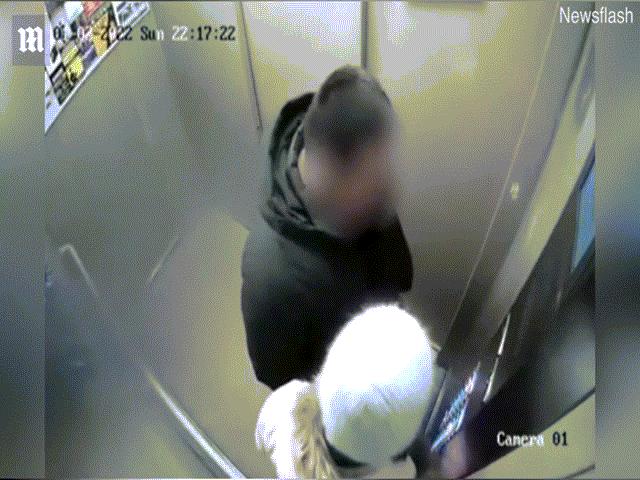 Video: Ép bé gái 15 tuổi hôn trong thang máy, thanh niên Nga lãnh sêri đòn từ người cha