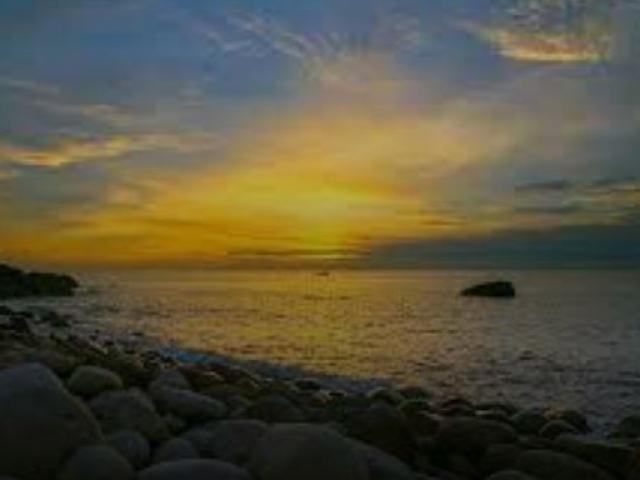 1644319769 547 thumbnail width640height480 Thềm rêu xanh tuyệt đẹp ở Nha Trang hút khách đến check in