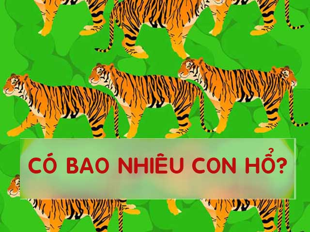 Những bài quiz khiến 90% người đọc phải đầu hàng