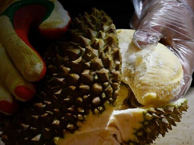 Đừng ăn sầu riêng trước khi lái xe nếu không muốn gặp rắc rối