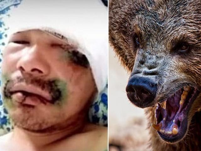 Nga: Bị gấu nâu 5 tạ tấn công, thợ săn nghĩ ra cách không ngờ để sống sót