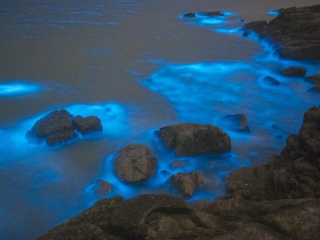 Vịnh Hạ Long và những bãi biển có thể phát sáng trên thế giới