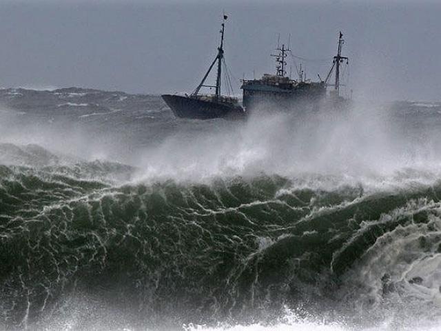 There was typhoon VONGFONG grade 11 operating near the East Sea