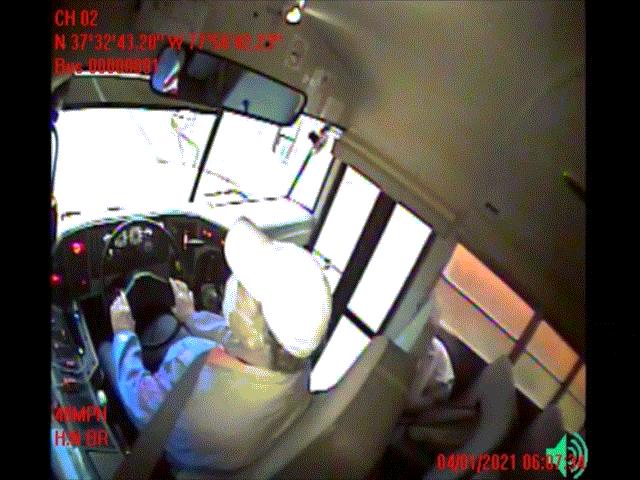 Video: Hươu chạy xuyên thủng kính xe buýt, tài xế và học sinh khiếp vía
