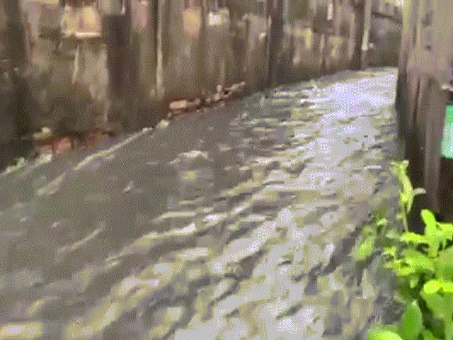 Nước chảy như thác đổ từ hẻm ra đường sau cơn mưa 30 phút ở Sài Gòn