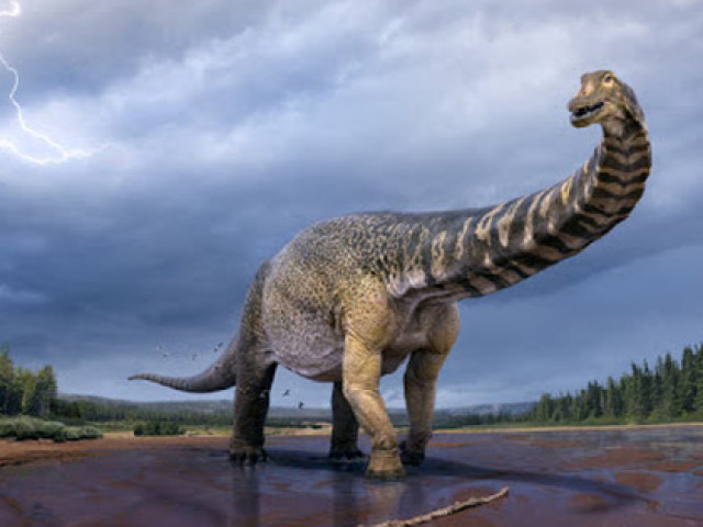 Phát hiện hóa thạch gây sốc của loài ”siêu quái thú” nặng 74 tấn
