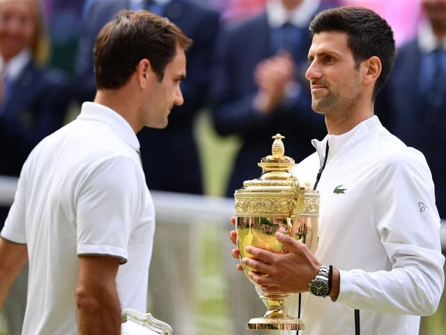 Nadal quits Wimbledon, Federer declines: Djokovic easily catches up with 