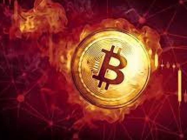 Rơi tự do, bitcoin giảm thảm, vốn hóa thị trường tiền điện tử bốc hơi 200 tỷ USD