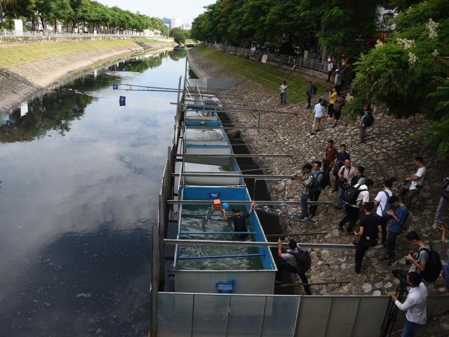 Clip: Xem chuyên gia Nhật Bản bơi lội, gội đầu bằng nước sông Tô Lịch