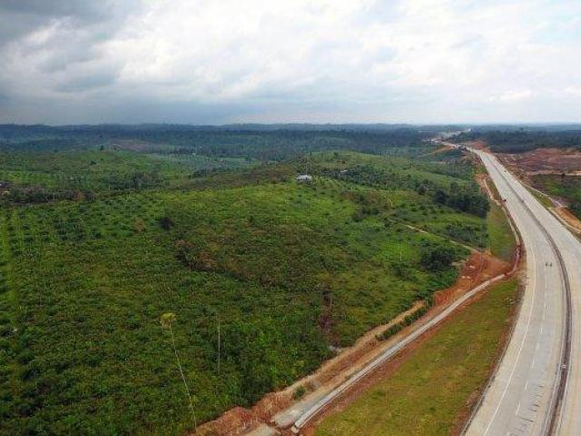 Indonesia: Kế hoạch 33 tỷ USD dời đô đến khu rừng ở hòn đảo lớn nhất châu Á
