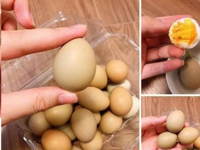 Loại trứng ”đại bổ như sâm” đắt gấp 10 lần trứng gà, người mua phải đặt trước cả tuần