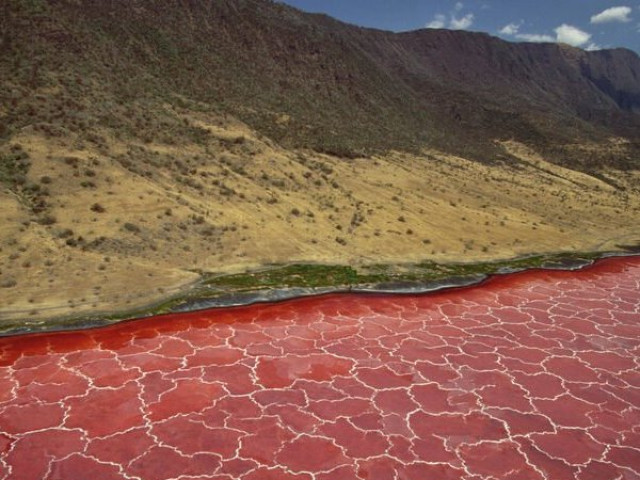 Bí ẩn hồ nước màu đỏ như máu, khiến các sinh vật hóa ”xác ướp”