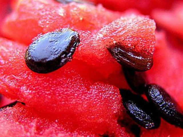 Ăn trái cây xong đừng vứt 4 loại hạt này, chúng là ”kho thuốc bổ” cho sức khỏe