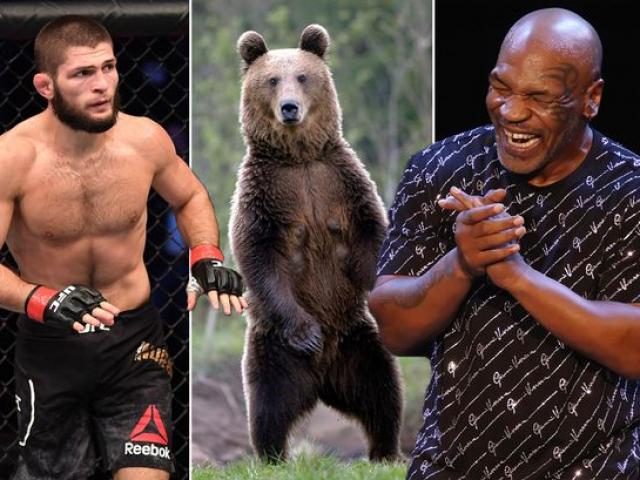 Võ sĩ Khabib vật gấu hút 11 triệu lượt xem, Mike Tyson nói câu phũ phàng