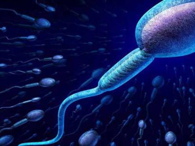9 thói quen không ngờ làm giảm chất lượng tinh trùng của quý ông