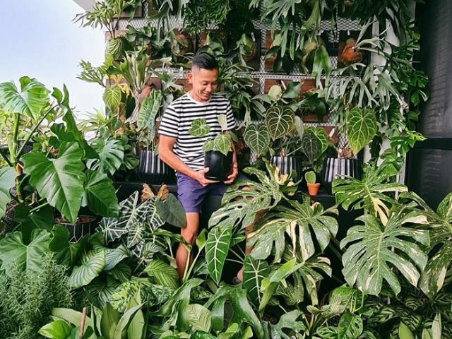Choáng ngợp những khu vườn kiểng lá tiền tỷ của các “tay chơi” Việt