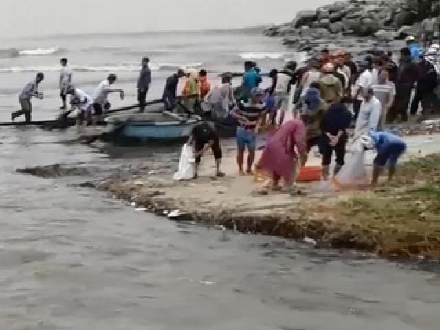 Sau trận mưa khủng khiếp, người Đà Nẵng đổ xô ra biển vớt “lộc trời ban”