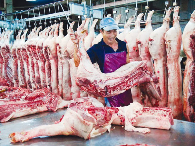 Tiêu hủy hơn nửa triệu con lợn, Hà Nội thiếu gần 100 nghìn tấn thịt
