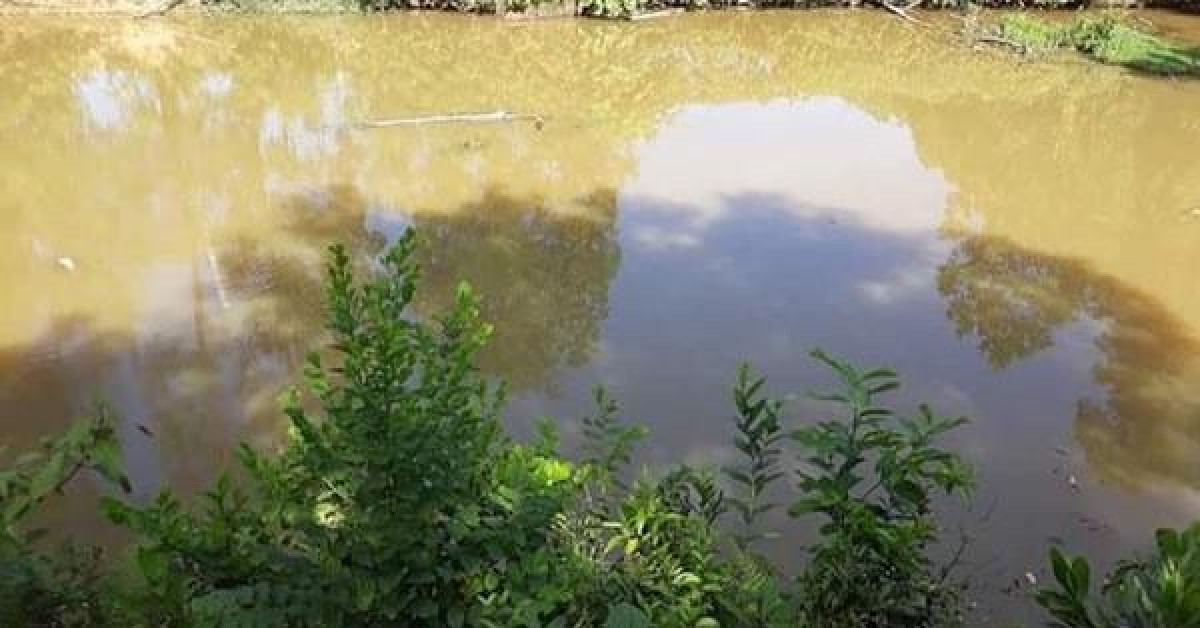 Following their mother and mother to harvest rice, the two children fell into a pond and drowned.