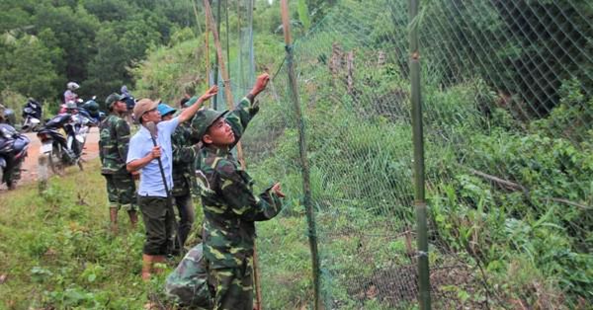 CLIP: Raise a high net to prevent white-nosed langurs from attacking pedestrians