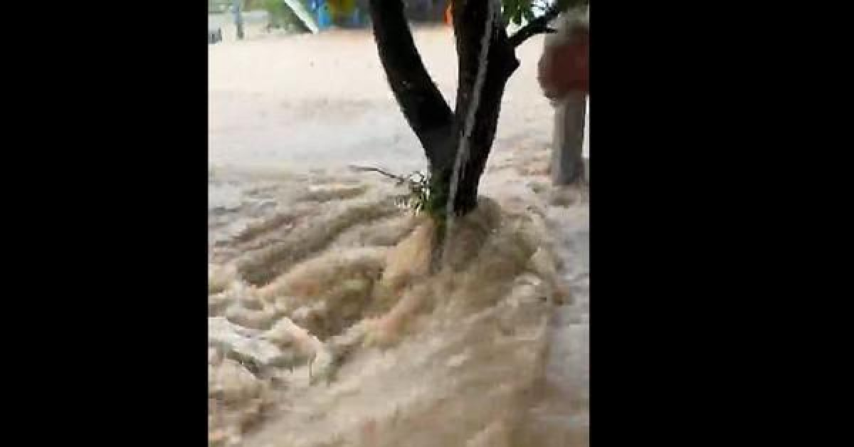 Video: Lũ ống bất thường đổ về như thác, dân Quảng Nam tưởng vỡ đập thủy điện