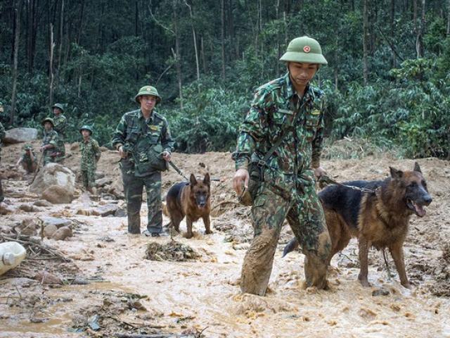 Sạt lở thủy điện Rào Trăng 3: Tìm kiếm đồng đội trong nước mắt