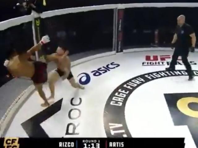MMA boxers kicked down the opponent, immediately pushed the referee down