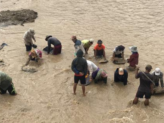 CLIP: Bất chấp nguy hiểm, người dân liều mình đãi vàng dưới hạ du thủy điện