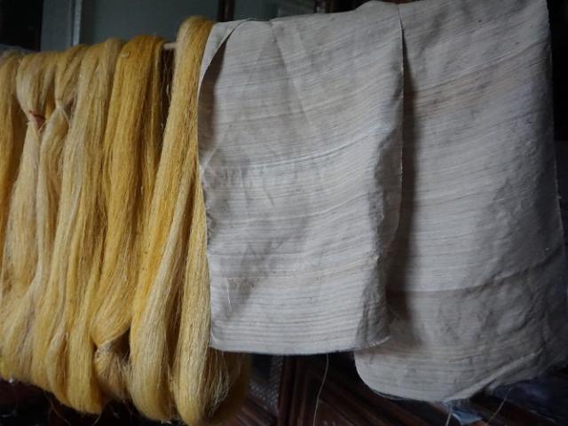 Độc nhất Việt Nam: Nghệ nhân dệt lụa từ tơ sen, bán giá đắt như vàng