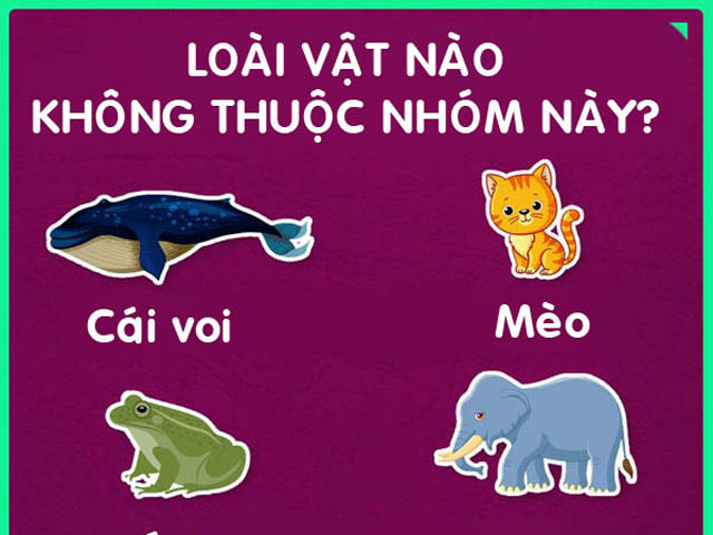 7 bài quiz đơn giản nhưng không phải ai cũng trả lời đúng