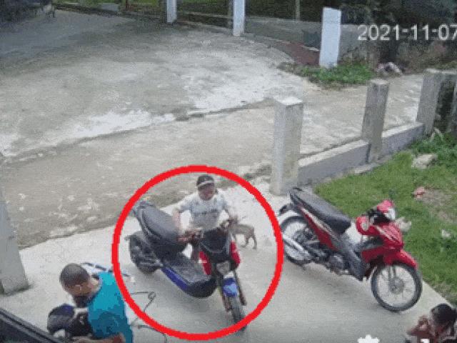 Clip: Bé gái dắt xe máy điện ngã sấp mặt và bài học đắt giá cho người lớn