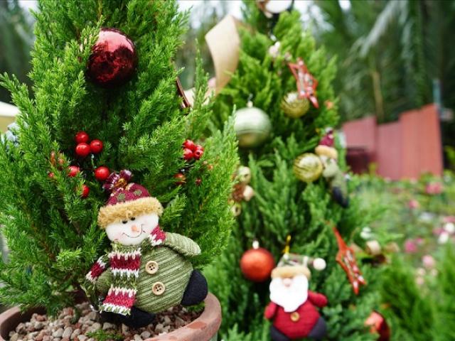 “Chợ mạng” nhộn nhịp, khách hàng đặt mua cây thông và đồ trang trí Noel trước cả tháng