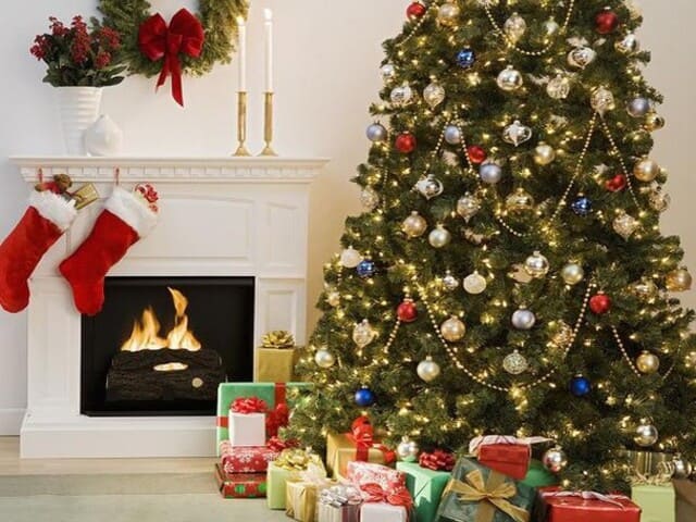 Cây thông ngày càng đắt đỏ, nhiều người lo “mất” mùa Noel năm nay