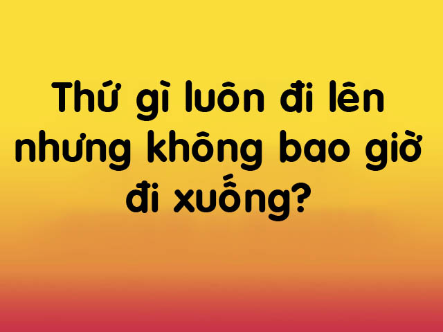 6 bài quiz giúp chọn ra những người xuất sắc