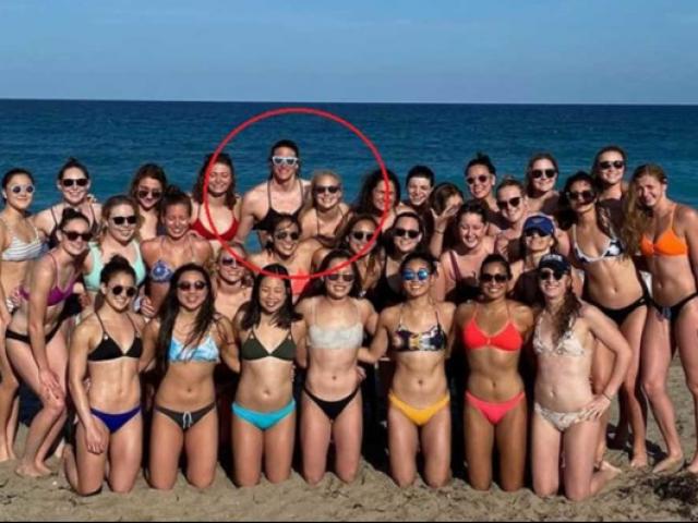 Tiền lệ ”nguy hiểm”: Nam VĐV chuyển giới trà trộn với 30 mỹ nhân bikini