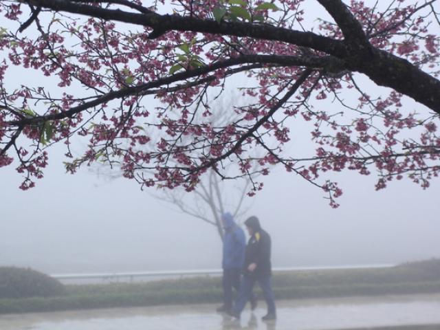 Dự báo thời tiết dịp nghỉ Tết Dương lịch 2022