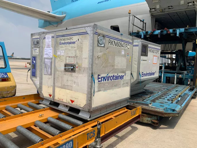 Nóng trong tuần: Bé 12 tuổi bị bạo hành, xâm hại không muốn đến trường - 3