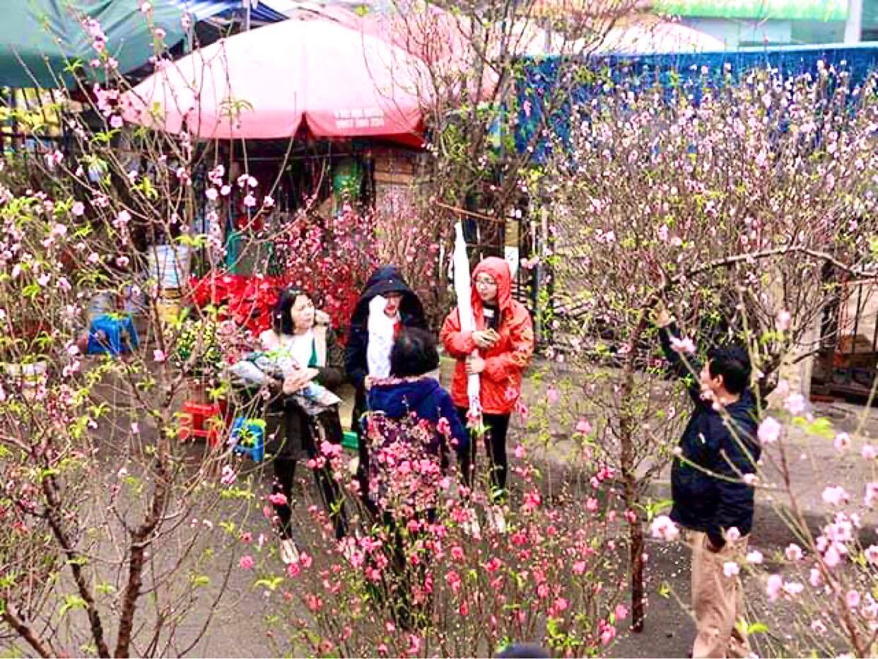 Nóng trong tuần: Cảnh cáo, miễn nhiệm chức vụ bà Nguyễn Thị Kim Tiến - 2